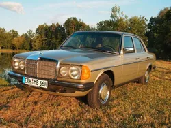 Grün Gebraucht 1981 Mercedes E300 Limousine | 25.500 €