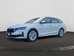 Weiß Neu 2025 Skoda Octavia Selection Kombi | 34.490 € (Guter Preis)