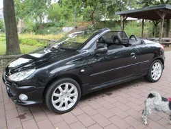 Gebraucht 2005 Peugeot 206 CC Platinum Cabrio | 1.999 € (Guter Preis)