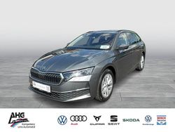 Grau Gebraucht 2024 Skoda Octavia Selection Kombi | 32.588 € (Etwas zu teuer)