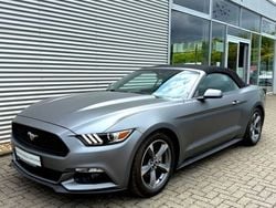 Grau Gebraucht 2015 Ford Mustang S Cabrio | 22.850 € (Superpreis)