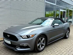 Grau Gebraucht 2015 Ford Mustang S Cabrio | 24.950 € (Fairer Preis)