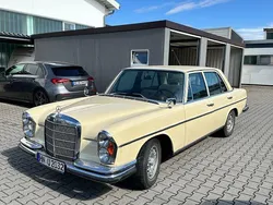 Beige Gebraucht 1967 Mercedes 250 SE Limousine | 14.500 €