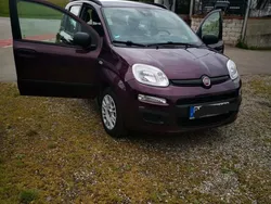 Violet Gebraucht 2014 Fiat Panda Kleinwagen | 5.499 € (Fairer Preis)