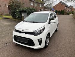 Weiß Gebraucht 2019 Kia Picanto Kleinwagen | 6.990 € (Guter Preis)