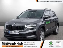 Grau Gebraucht 2024 Skoda Karoq Selection SUV | 35.949 € (Etwas zu teuer)
