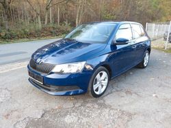 Blau Gebraucht 2017 Skoda Fabia Cool Edition Kleinwagen | 5.900 € (Fairer Preis)