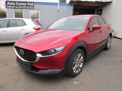 Rot Gebraucht 2021 Mazda CX-30 Exclusive-Line SUV | 19.890 € (Fairer Preis)