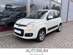 Weiß Gebraucht 2013 Fiat Panda Lounge Kleinwagen | 3.999 € (Fairer Preis)