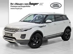 Weiß Gebraucht 2014 Land Rover Range Rover evoque Pure SUV | 9.430 € (Etwas zu teuer)