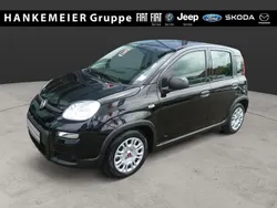 Schwarz Neu 2024 Fiat Panda Kleinwagen | 13.750 € (Guter Preis)