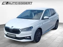 Weiss Neu 2025 Skoda Fabia Tour | 24.289 € (Teuer)