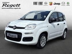 Weiss) (weiss Gebraucht 2020 Fiat Panda Easy Kleinwagen | 8.990 € (Fairer Preis)