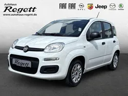 Weiss) (weiss Gebraucht 2020 Fiat Panda Easy Kleinwagen | 9.990 € (Etwas zu teuer)