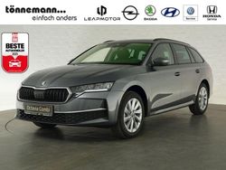 Graphite grau Neu 2025 Skoda Octavia Selection Kombi | 33.545 € (Fairer Preis)