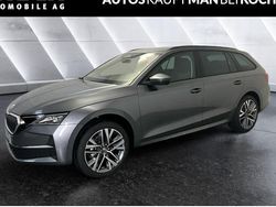 Grau Gebraucht 2025 Skoda Octavia Selection Kombi | 38.990 €