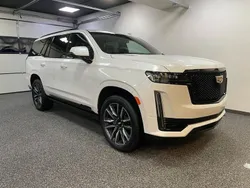 Weiß Neu 2024 Cadillac Escalade SUV | 117.600 €