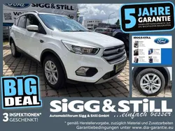 Frostweiß Gebraucht 2019 Ford Kuga Trend SUV | 12.850 € (Superpreis)