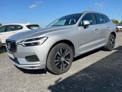 Silber Gebraucht 2021 Volvo XC60 Momentum SUV | 29.850 € (Etwas zu teuer)