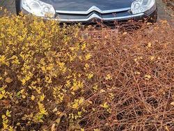 Grau Gebraucht 2017 Citroën C5 Kombi | 15.999 €