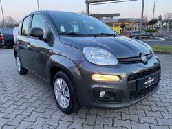Grau Gebraucht 2017 Fiat Panda Easy Kleinwagen | 4.790 € (Guter Preis)
