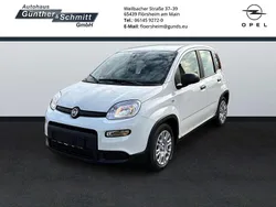 Weiß Neu 2024 Fiat Panda Kleinwagen | 16.290 € (Fairer Preis)