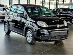 Schwarz Gebraucht 2024 Fiat Panda Kleinwagen | 13.800 € (Guter Preis)