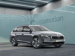 Grau Gebraucht 2025 Skoda Octavia Selection Kombi | 54.600 €