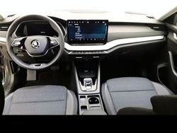 Grau Gebraucht 2024 Skoda Octavia Selection Kombi | 30.900 € (Fairer Preis)