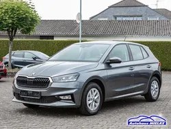 Graumetallic Neu 2025 Skoda Fabia Selection Limousine | 22.990 € (Fairer Preis)