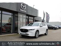 Weiss Gebraucht 2024 Mazda CX-5 Takumi-Line SUV | 35.490 € (Superpreis)