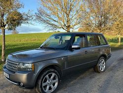 Grau Gebraucht 2010 Land Rover Range Rover Autobiography SUV | 22.500 €