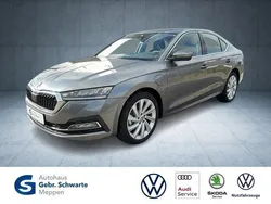 Grau Gebraucht 2025 Skoda Octavia Style Limousine | 27.990 € (Fairer Preis)