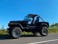 Schwarz Gebraucht 1992 Jeep Wrangler SUV | 22.000 €