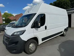 Colore esterno (weiss (pastell Gebraucht 2020 Fiat Ducato Van | 19.999 € (Fairer Preis)