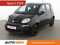 Schwarz Gebraucht 2018 Fiat Panda Easy Kleinwagen | 7.330 € (Fairer Preis)