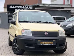 Gelb Gebraucht 2009 Fiat Panda Active Kleinwagen | 2.799 € (Etwas zu teuer)