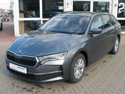 Grau Gebraucht 2024 Skoda Octavia Joy Kombi | 29.990 € (Fairer Preis)