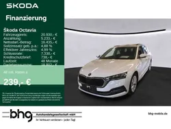 Weiß Gebraucht 2021 Skoda Octavia First Edition Kombi | 20.930 € (Fairer Preis)