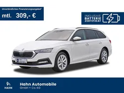 Candyweiss Gebraucht 2022 Skoda Octavia Ambition Kombi | 22.995 € (Superpreis)