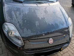 Schwarz Gebraucht 2011 Fiat Punto Evo Kleinwagen | 2.280 € (Superpreis)