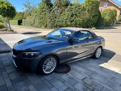 Grau Gebraucht 2017 BMW 230 M Sport Cabrio | 24.900 € (Fairer Preis)