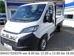 Weiss Gebraucht 2025 Fiat Ducato Van | 39.900 € (Etwas zu teuer)