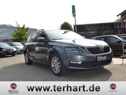Grau Gebraucht 2019 Skoda Octavia Soleil Kombi | 14.299 € (Fairer Preis)