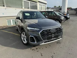 Grau Gebraucht 2024 Audi Q5 S-Line SUV | 48.950 € (Fairer Preis)