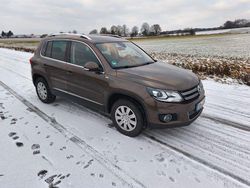 Braun Gebraucht 2014 VW Tiguan Cup SUV | 13.750 € (Fairer Preis)