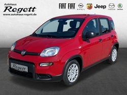 Weiss) (weiss Gebraucht 2024 Fiat Panda Kleinwagen | 16.990 € (Teuer)
