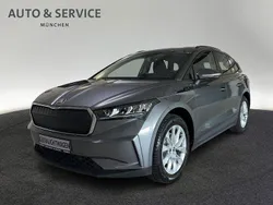 Grau Gebraucht 2025 Skoda Enyaq iV SUV | 39.860 €