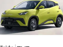 Grün Neu 2025 BYD Dolphin Active Kleinwagen | 20.990 € (Guter Preis)