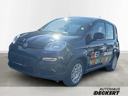 Cinema schwarz) (schwarz Neu 2024 Fiat Panda Kleinwagen | 14.890 € (Fairer Preis)